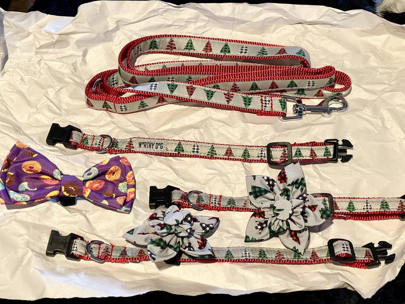 One of these is unlike the others