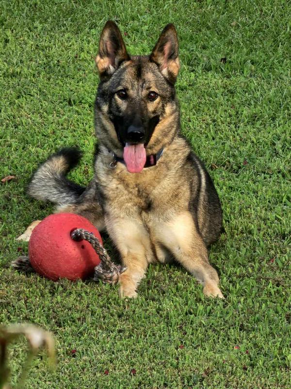 FINALLY The snow is gone and I can play outside.