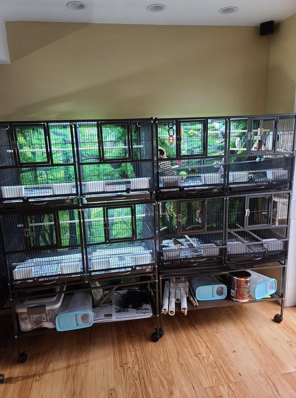 My Setup with Lighting and Shower curtains on the Backside