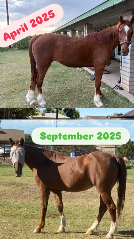 Worked wonders on my 27 yr old