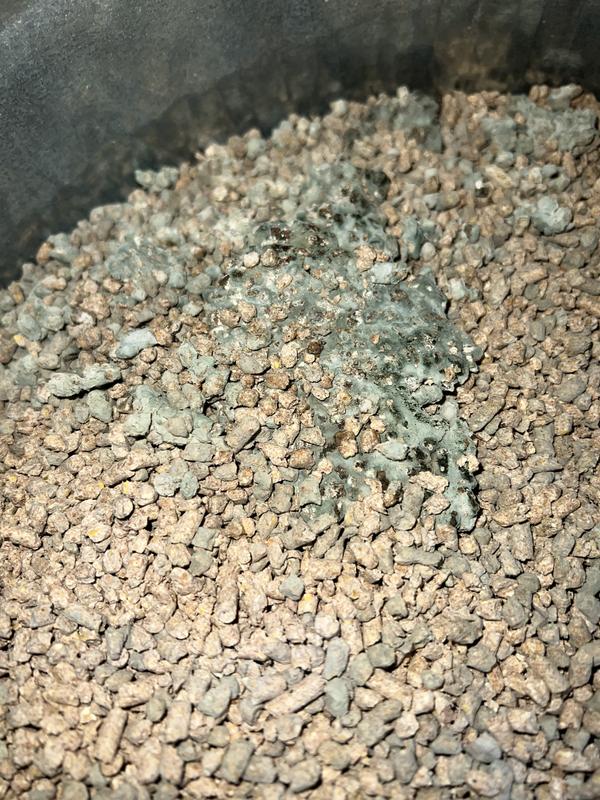 Review photo 4.