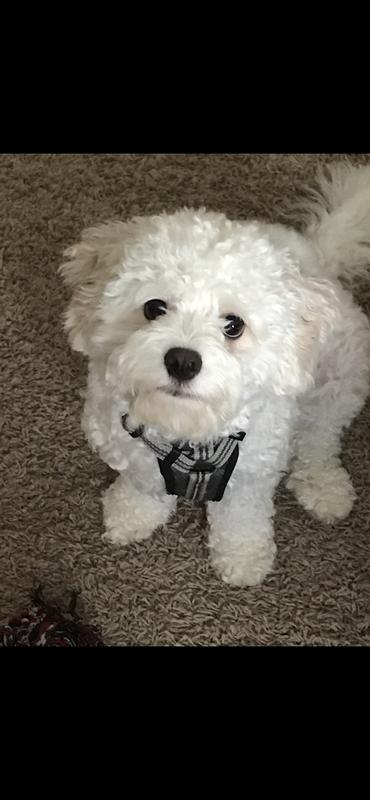 Can I have some please?