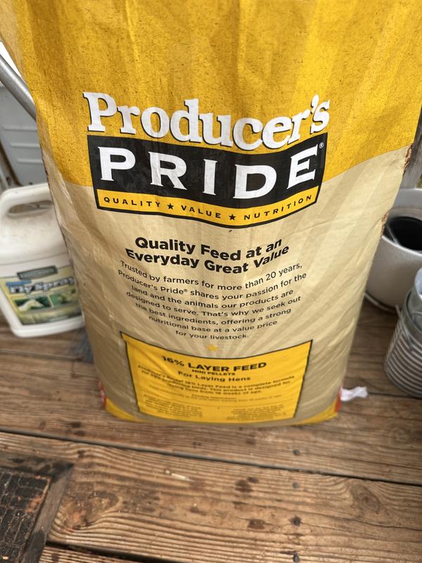 Brand new bag with mold