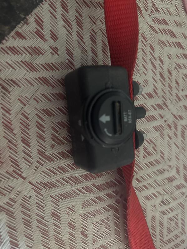 Review photo 1.