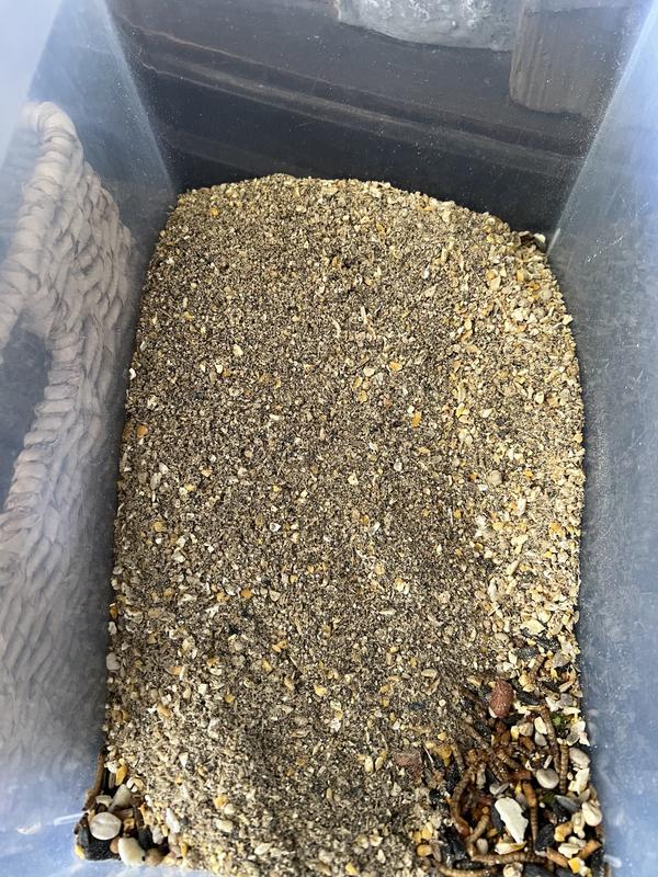Too dust bottom corner other food