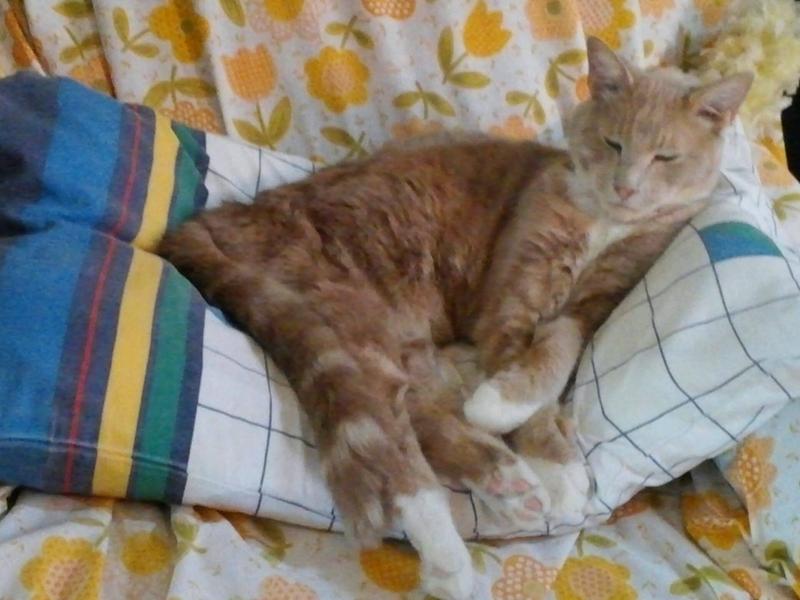 Relaxing after a delicious meal