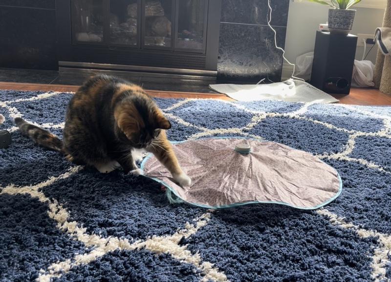 When she "catches" it, it changes direction and "escapes"