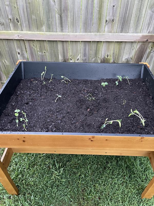 Raised bed