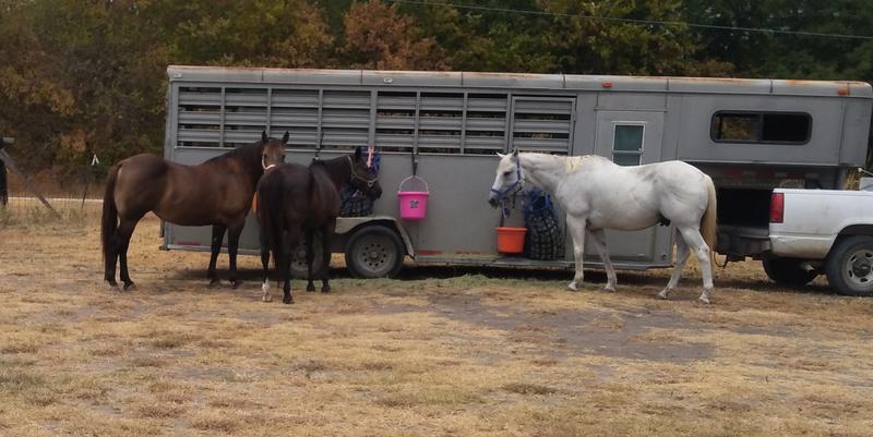 Guess which is Silver