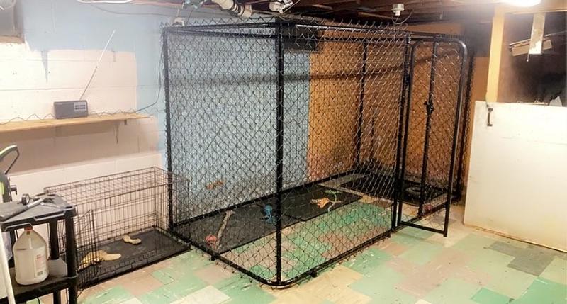 Replaced small crates with larger pen for more room while I'm at work