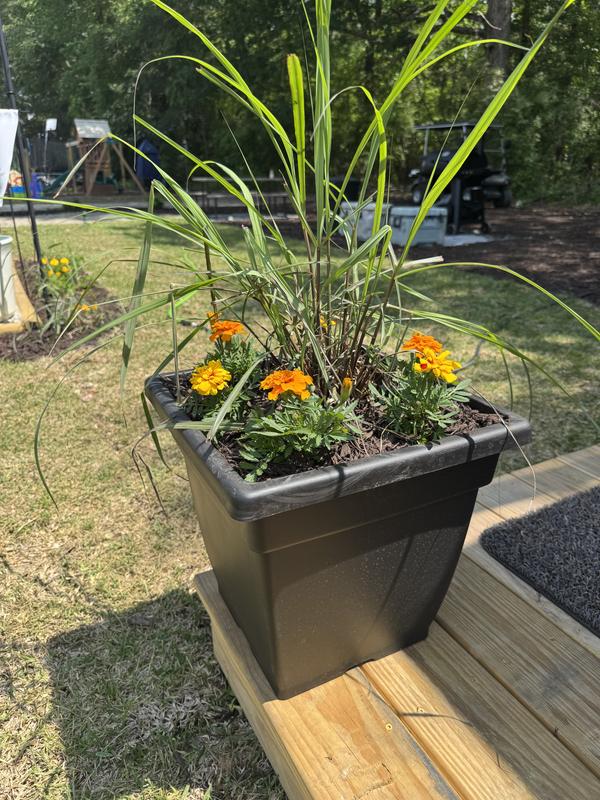 Red Shed 15 in. Black Square Planter at Tractor Supply Co