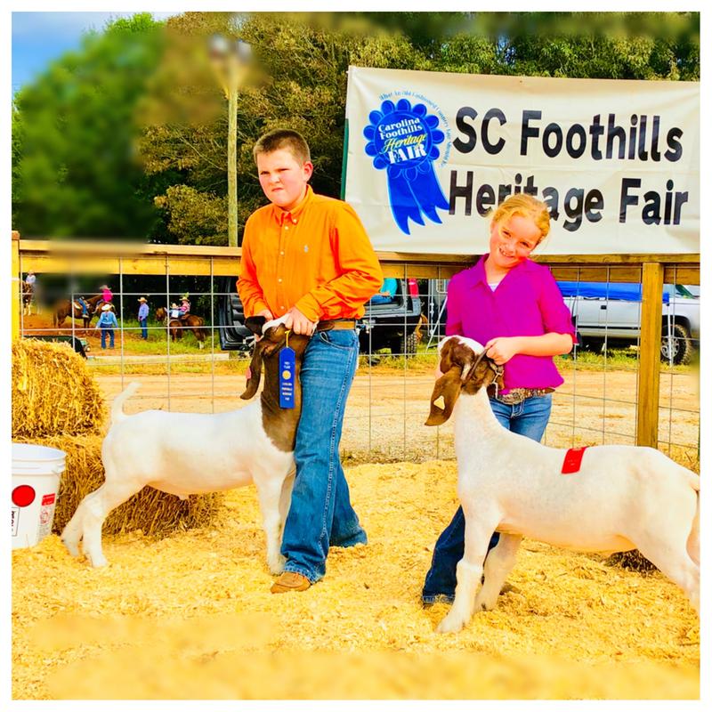 At the show