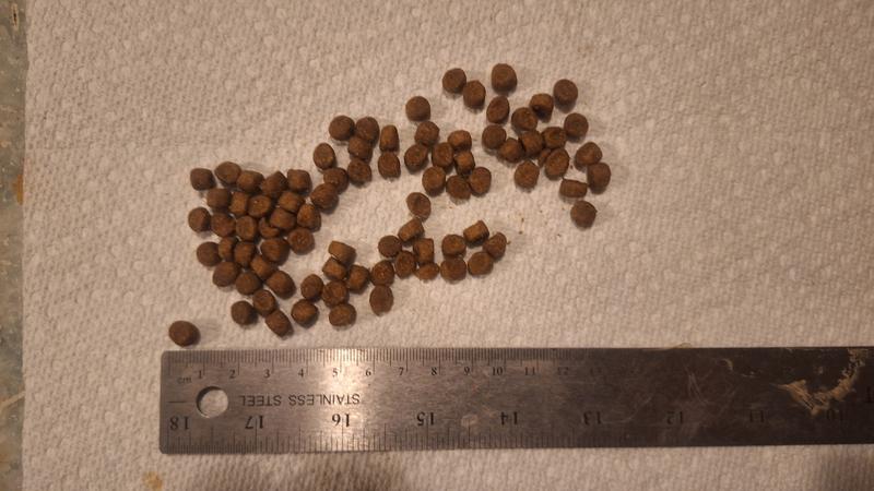 Review photo 1.