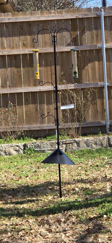 I added the squirrel cone that I also purchesed at Tractor Supply