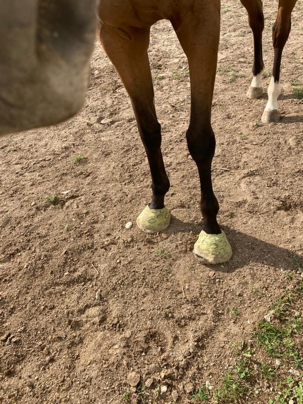 I like my house slippers Mom!