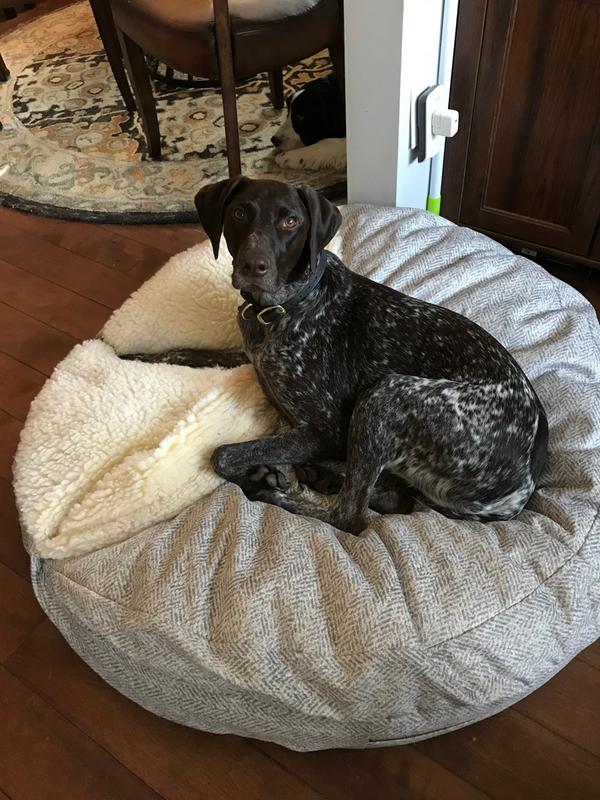 no snuggle so far....