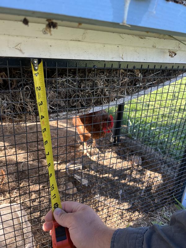 The extensive bowing of the floor before it fell out