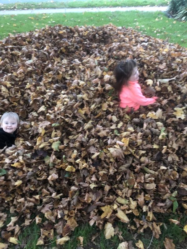Children jumping in leaves after blowing it into a pile before bagging.