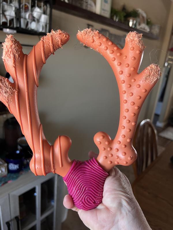 After several hours of chewing on this thing, this is all the damage that it shows.