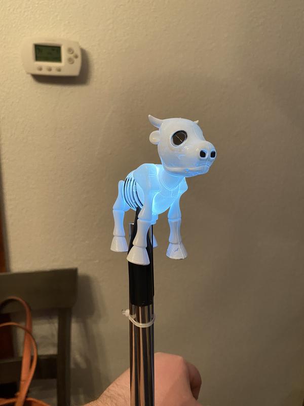 Cow
