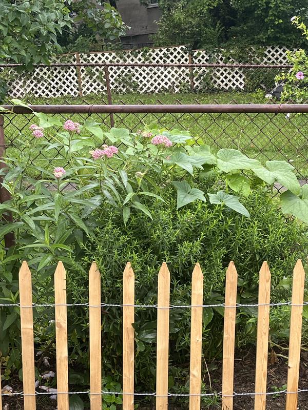 Greenes 15 ft. x 24 in. Cedar Fence
