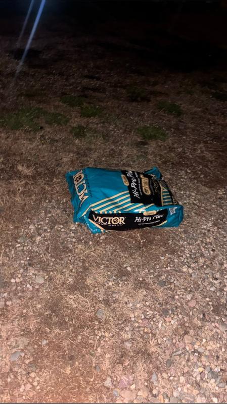 Bag of dog food in our gravel leading to the driveway to the house.