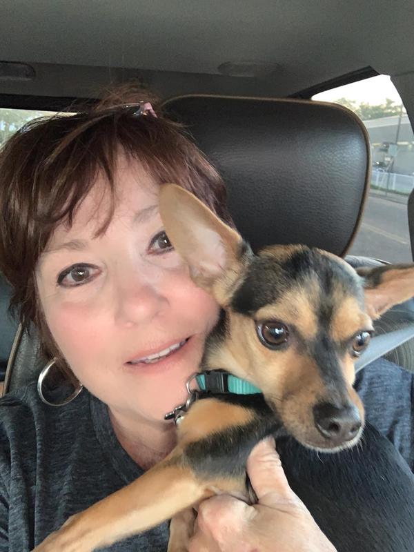 Loves to ride with me in the truck.