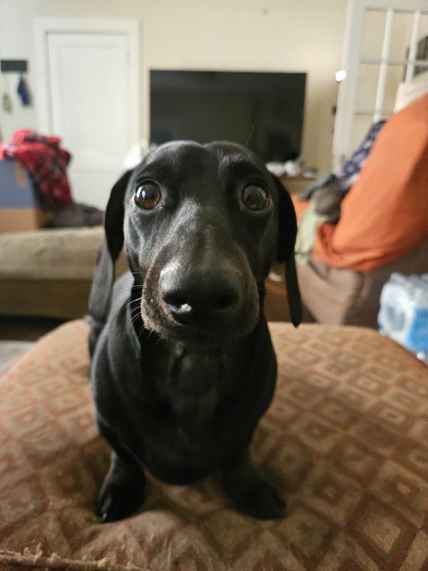 My guy, Batman. Styling and profiling.