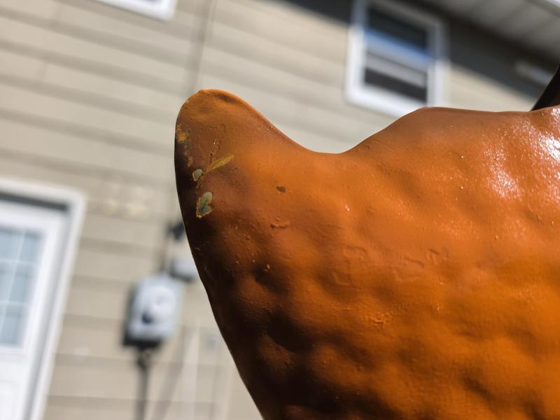 Paint missing from head in multiple spots