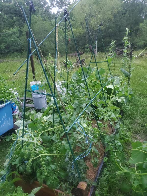 This is after 30 minutes in the rain trying to prop to back up