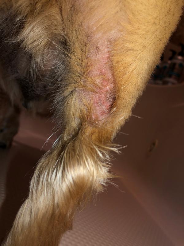 Back of leg (before)