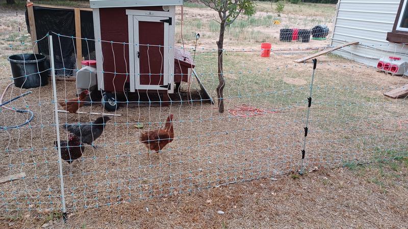 Left post is part of electric fence; right post is what bought to lift up the middle - its about 6 in too short