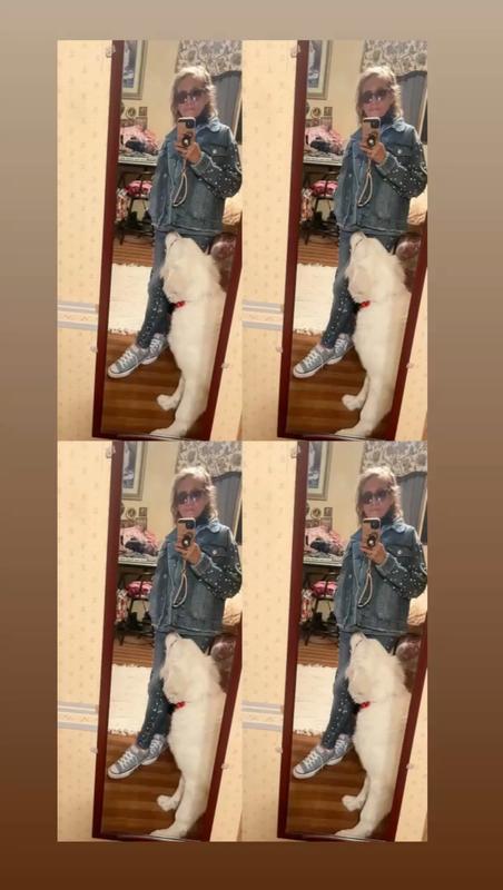 Healthy & Happy Puppy🐶Not even 6 mos.old yet🤩We’re a great pack in our home🏡as we have our puppy🐩& our American Bully🐕‍🦺getting along great together🐕💕😊They Love the Large Breed Puppy Food & No Grain Food by 4Health & Science Diet Sensitive Food😋