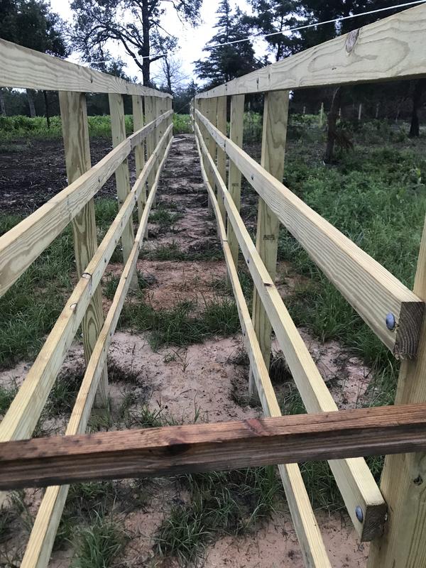 Corrals, sorting pens
