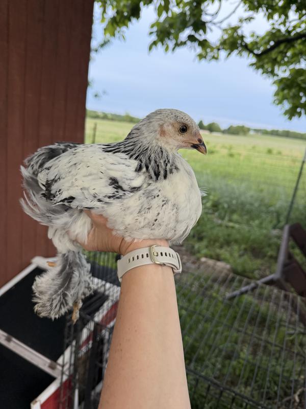 Look at her!!