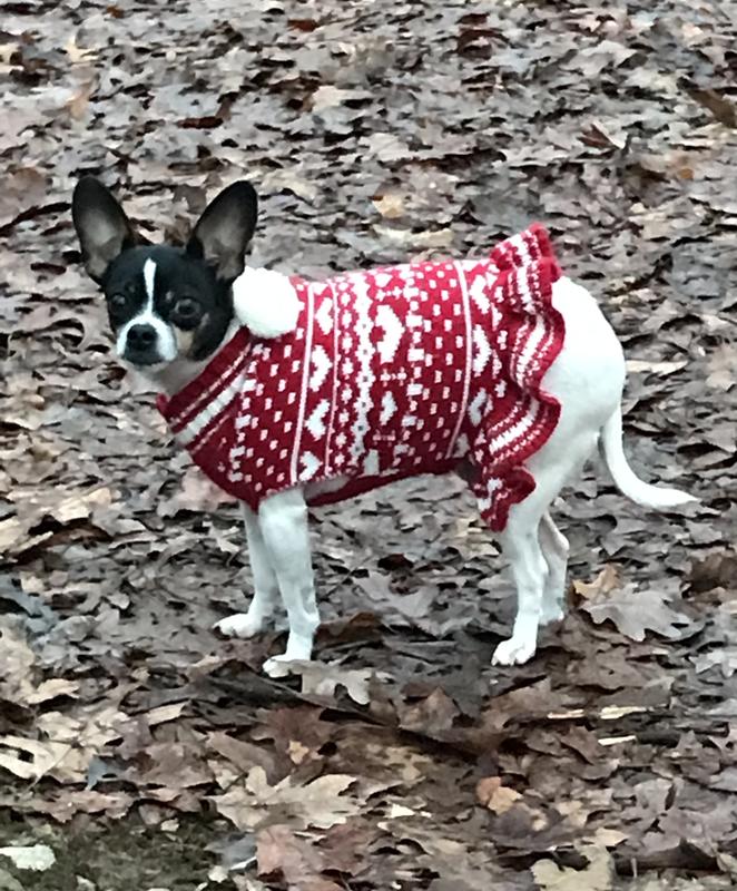 Rooster is 7 years & Bunny is 9 years