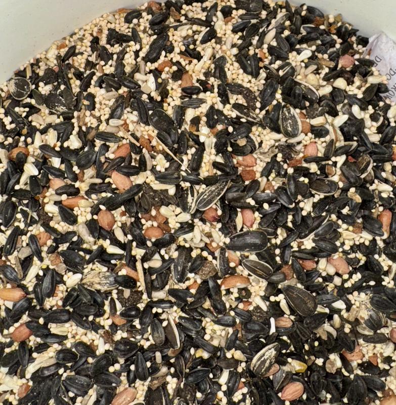 Millet and sunflower seeds.