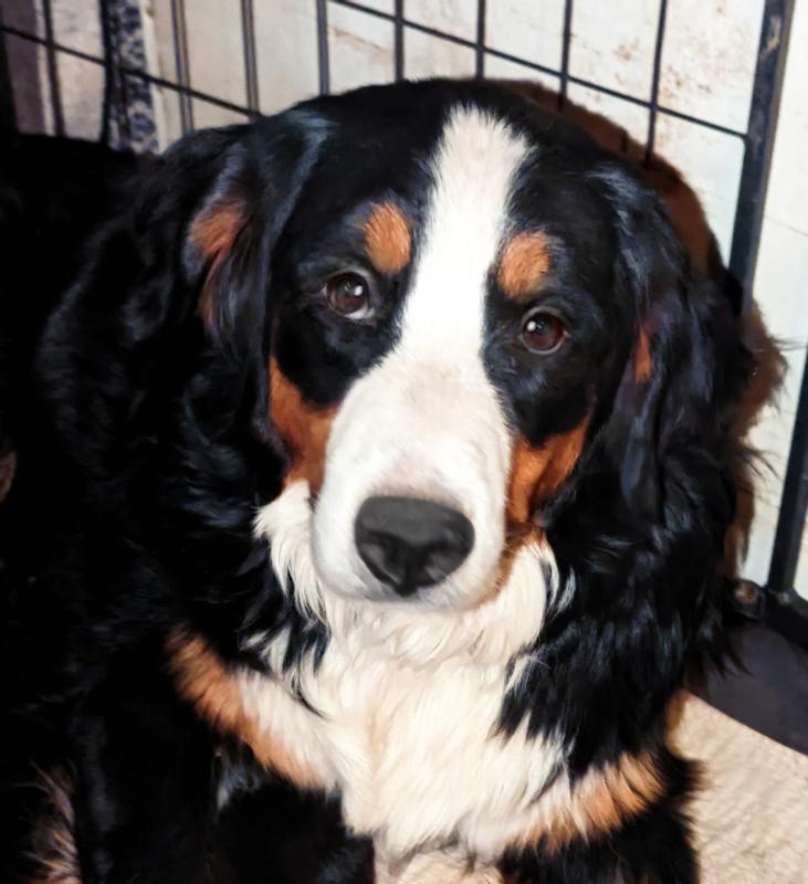 Mi'im approves of Jinx