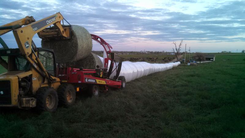 Wrapping haylage for our biggest customer Grasslands dairy