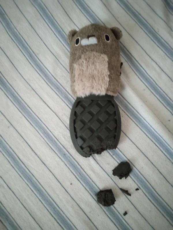 Review photo 5.