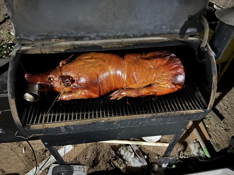 Whole pig outlet barbecue