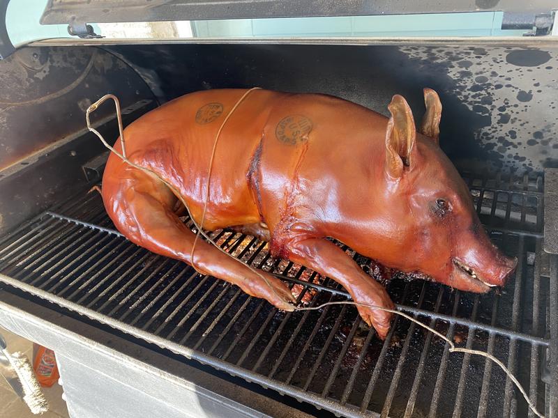 Traeger clearance grill pig