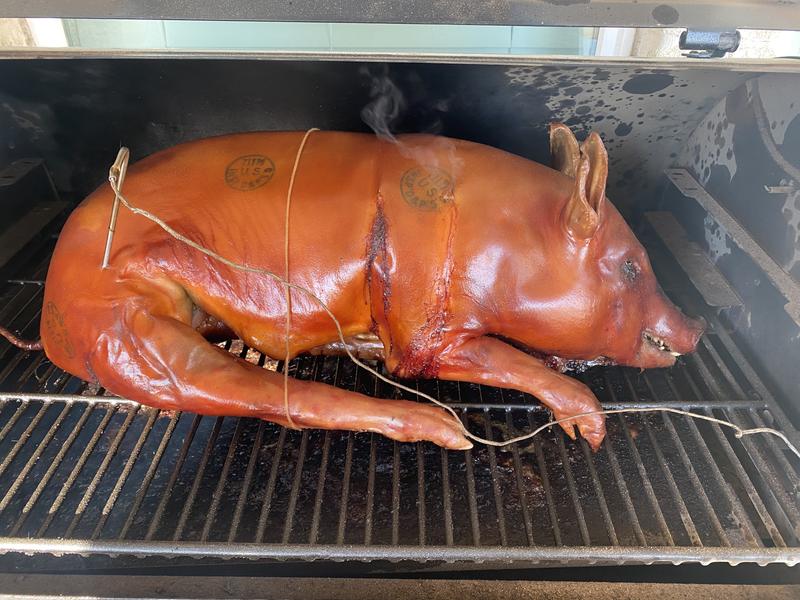 Traeger on sale grill pig