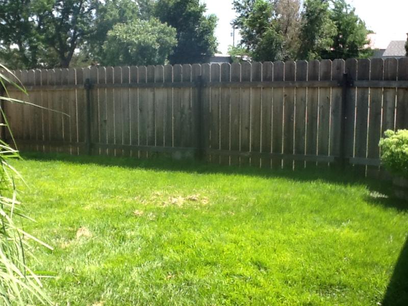 Cuts like a champ I love it