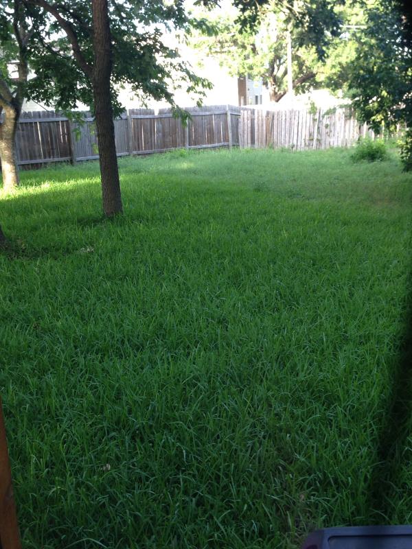 Review photo 8.