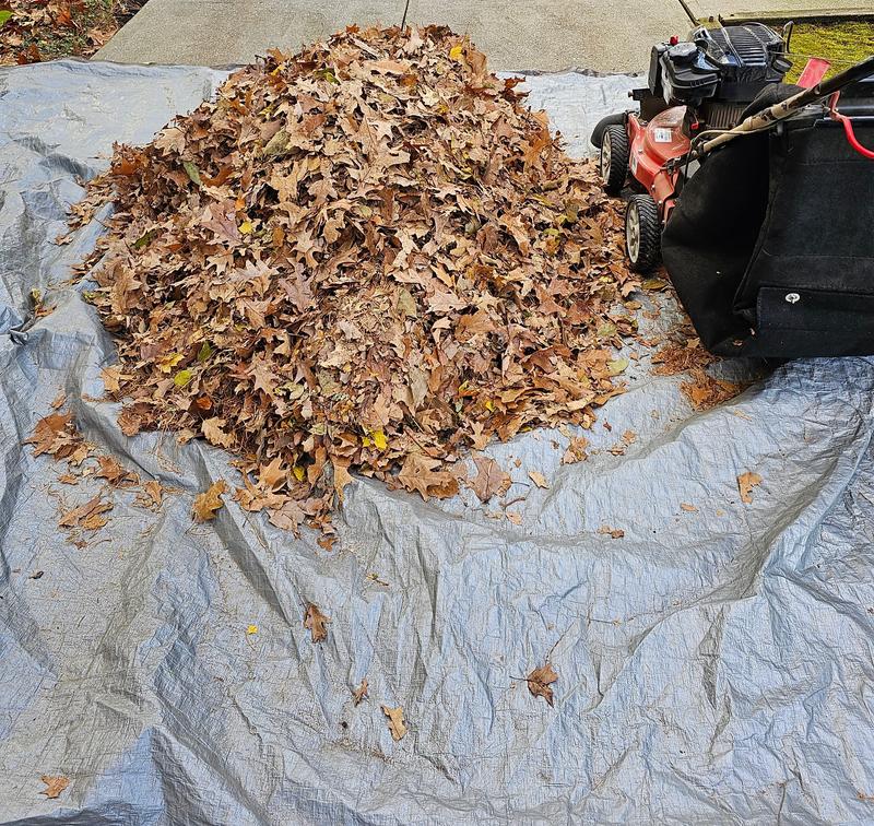 Photo - commentaire&nbsp;8.