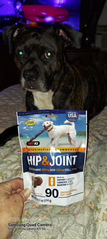 Sam's club hip and joint store for dogs