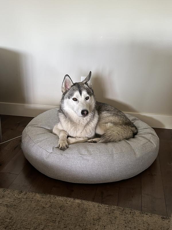 Best Beds For Huskies