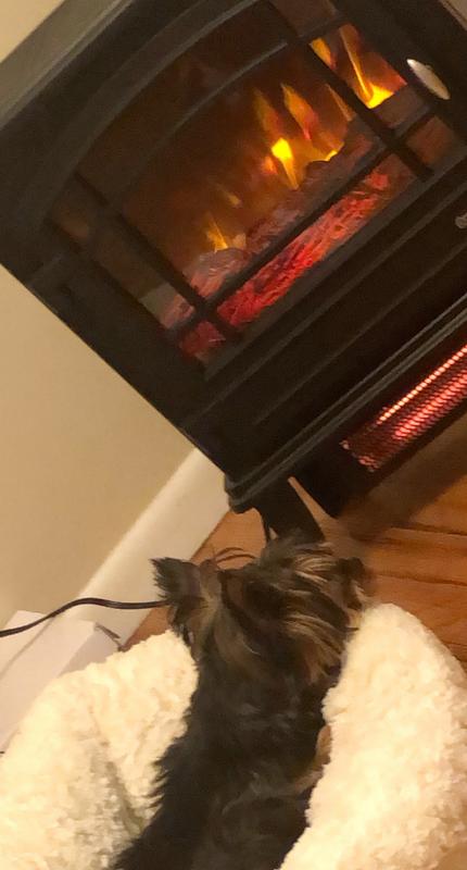 duraflame® Infrared Quartz Electric Stove Heater - Twin Star  InternationalTwin Star International