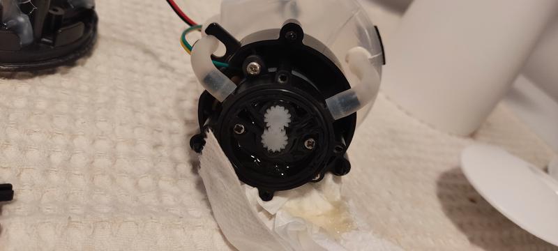 View of the pumping gears assembly